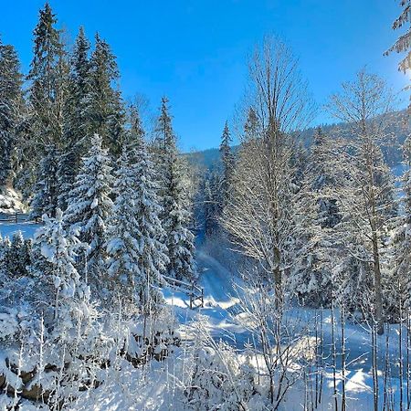 Appartement Haus Widmann à Scheffau am Wilden Kaiser Extérieur photo