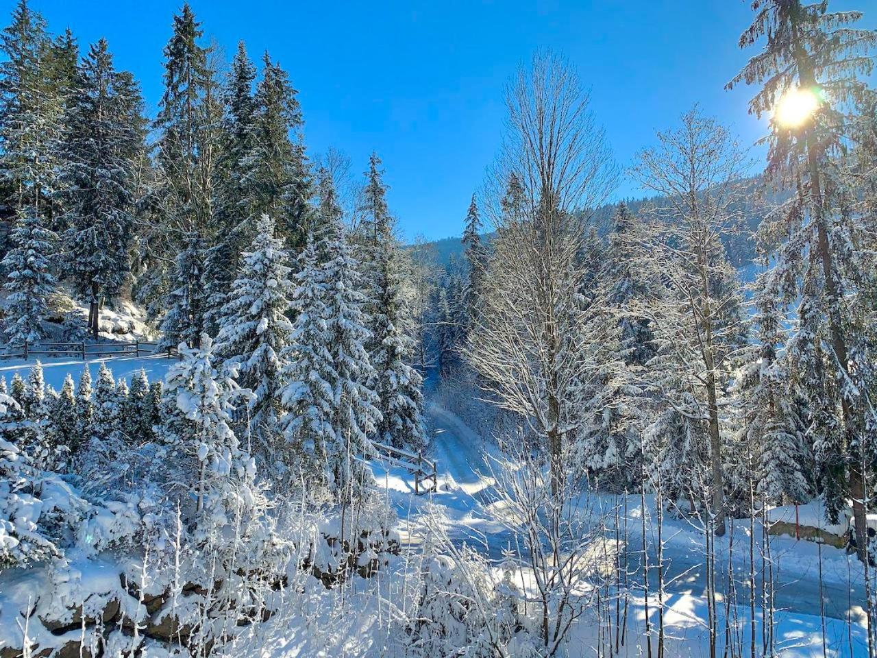 Appartement Haus Widmann à Scheffau am Wilden Kaiser Extérieur photo
