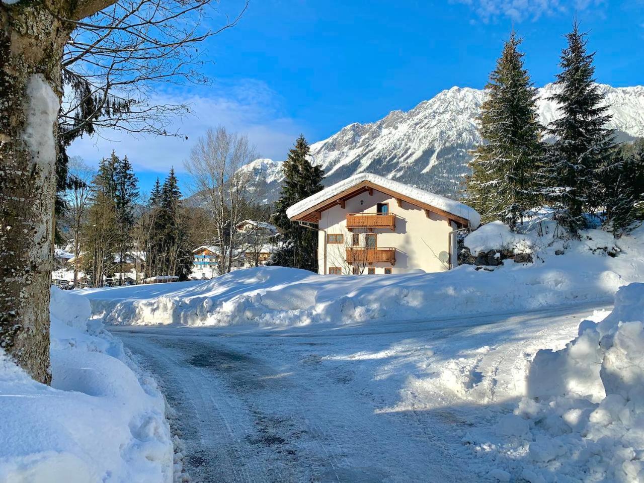 Appartement Haus Widmann à Scheffau am Wilden Kaiser Extérieur photo